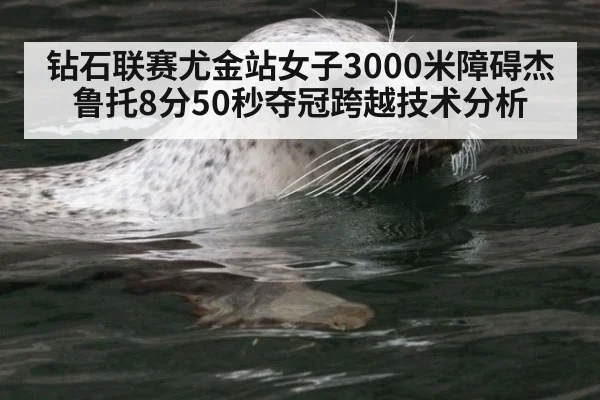 钻石联赛尤金站女子3000米障碍杰鲁托8分50秒夺冠跨越技术分析